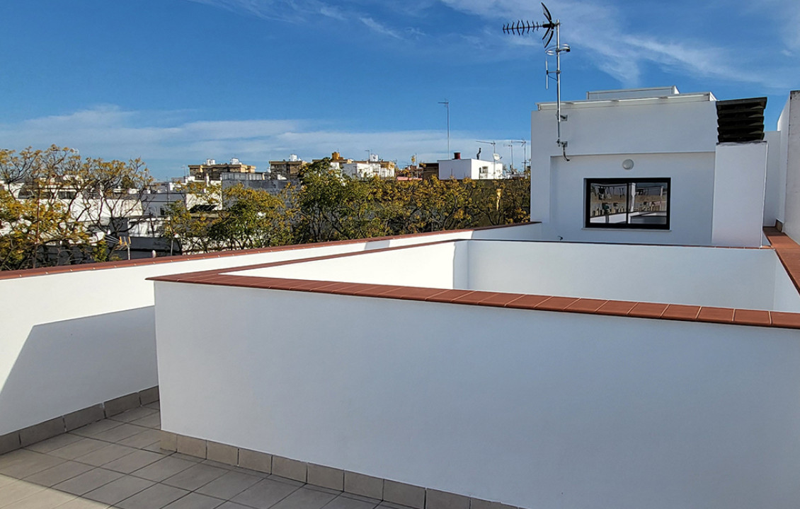 Venta - Casas o chalets - Sevilla - C. Afán de Ribera, 202