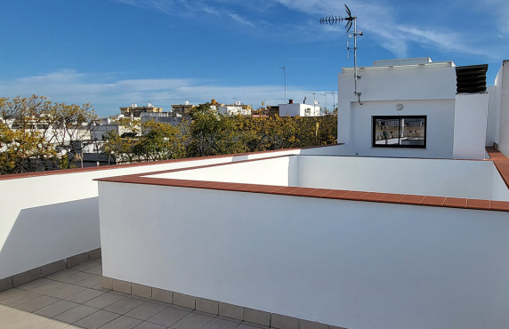 Venta - Casas o chalets - Sevilla - C. Afán de Ribera, 202