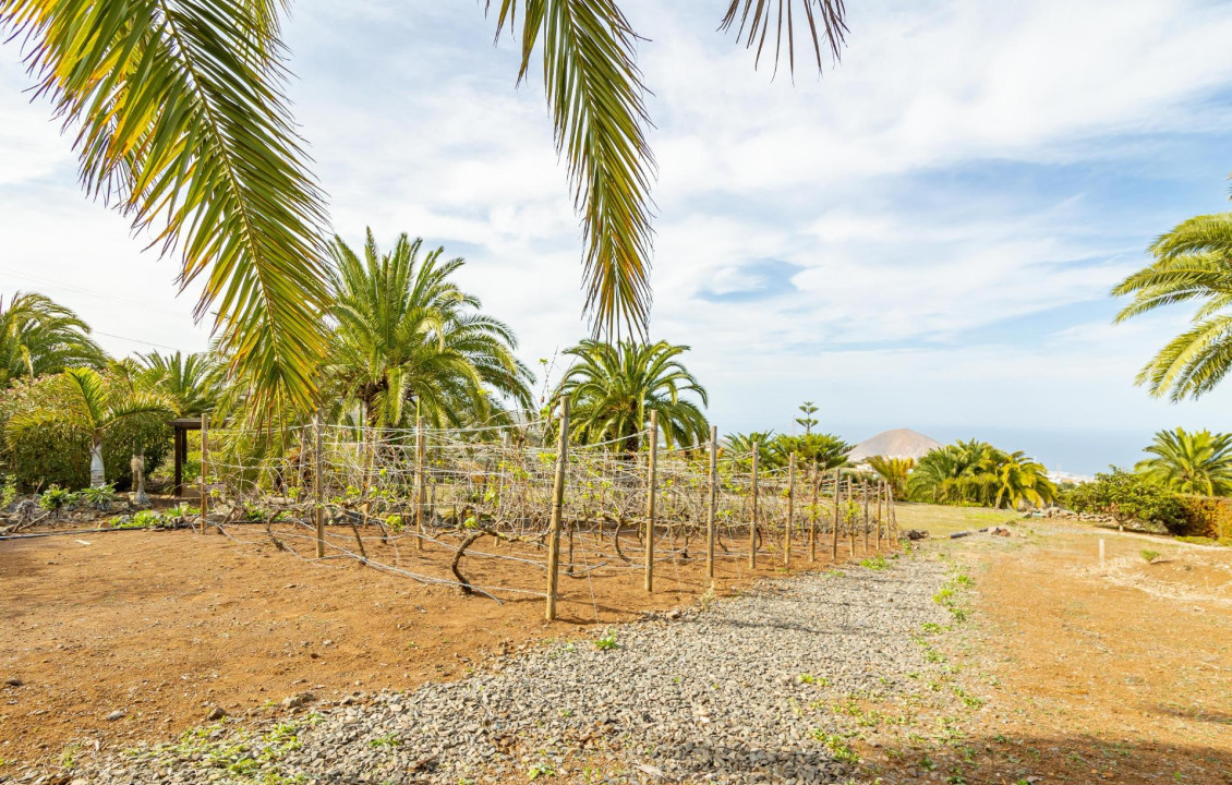 Venta - Fincas y solares - Santa María de Guía de Gran Canaria - Es:1 Pl:00 Pt:01 Polígono 9 Parcela 636 HOYA PEDR