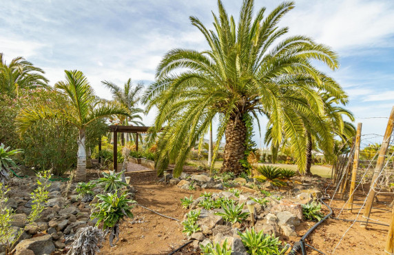 Venta - Fincas y solares - Santa María de Guía de Gran Canaria - Es:1 Pl:00 Pt:01 Polígono 9 Parcela 636 HOYA PEDR