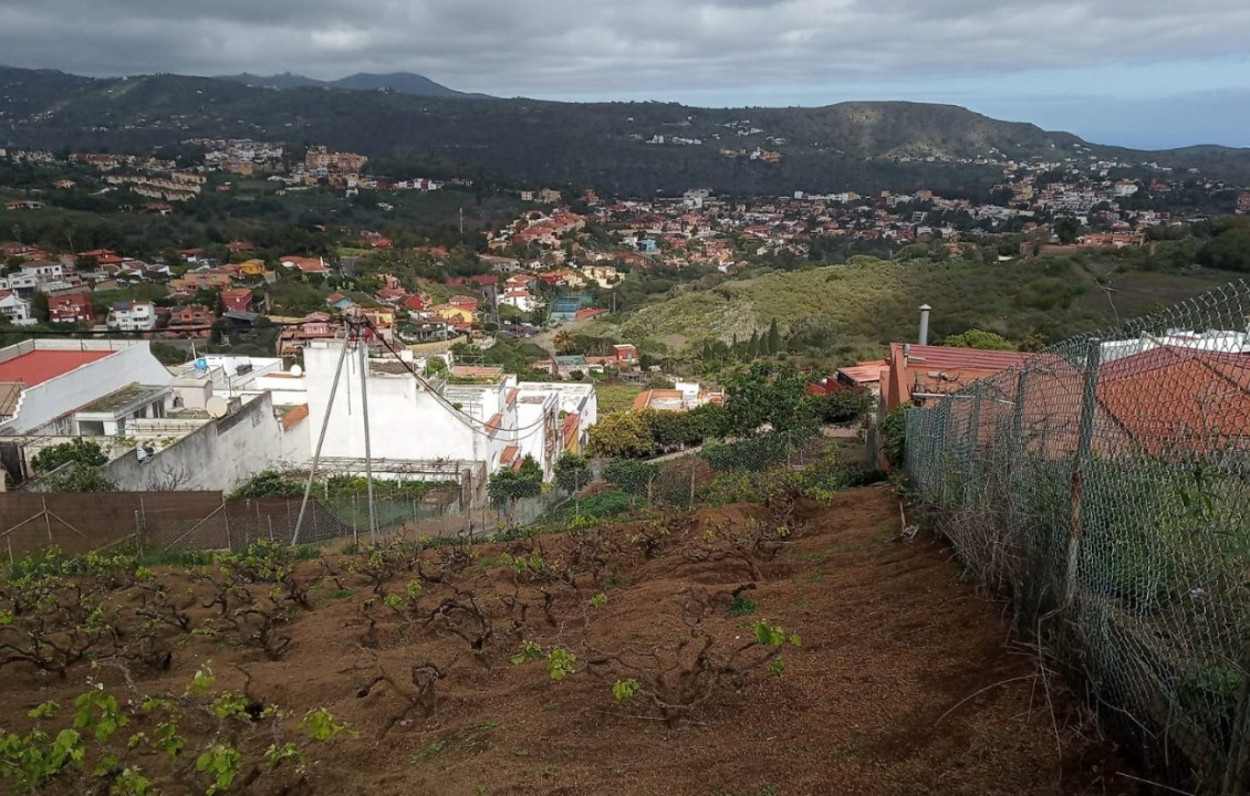 For Sale - Fincas y solares - Santa Brígida - Vino