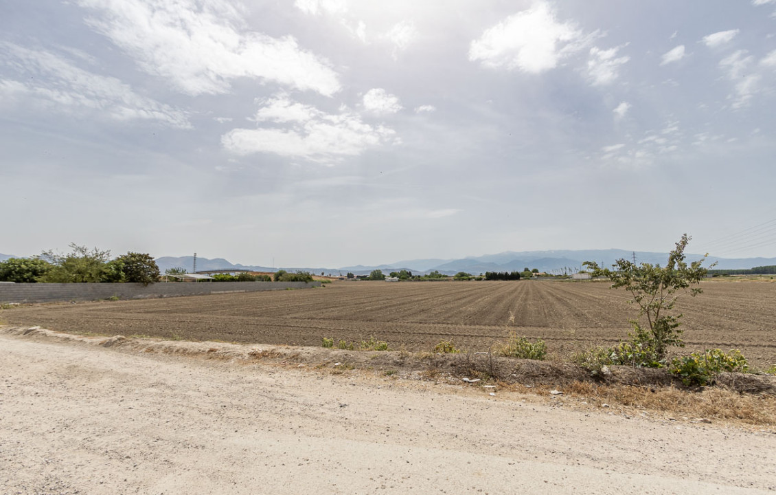 For Sale - Fincas y solares - Atarfe - del Albolote 'Transversal'