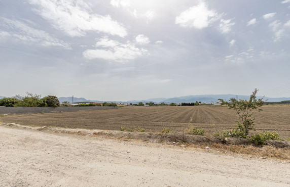 For Sale - Fincas y solares - Atarfe - del Albolote 'Transversal'