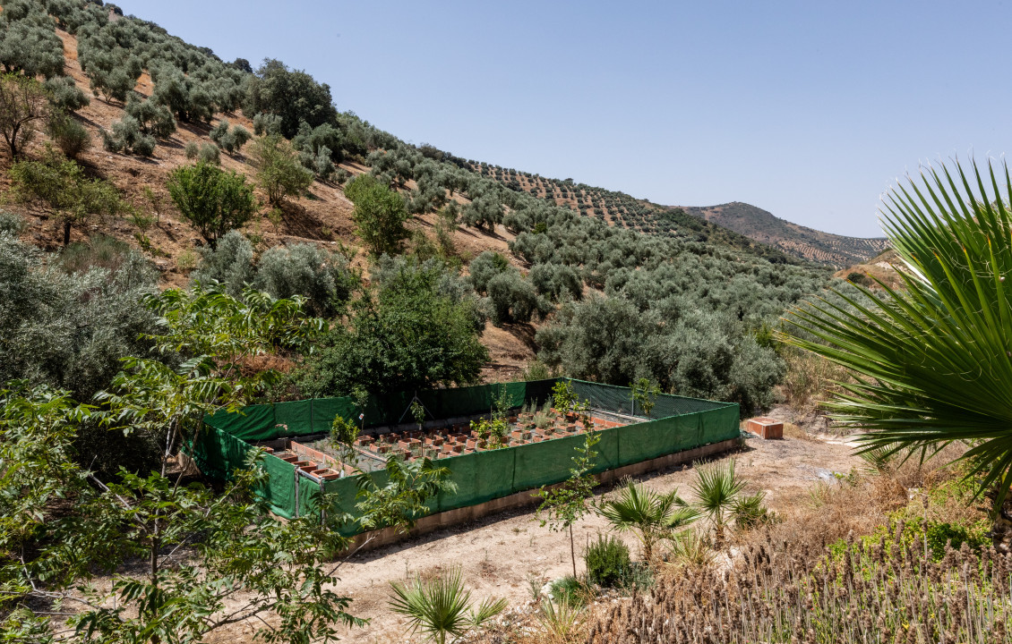 Venta - Casas o chalets - Cuevas de San Marcos - Parcela 917 del polígono 9 al paraje Los Madroña