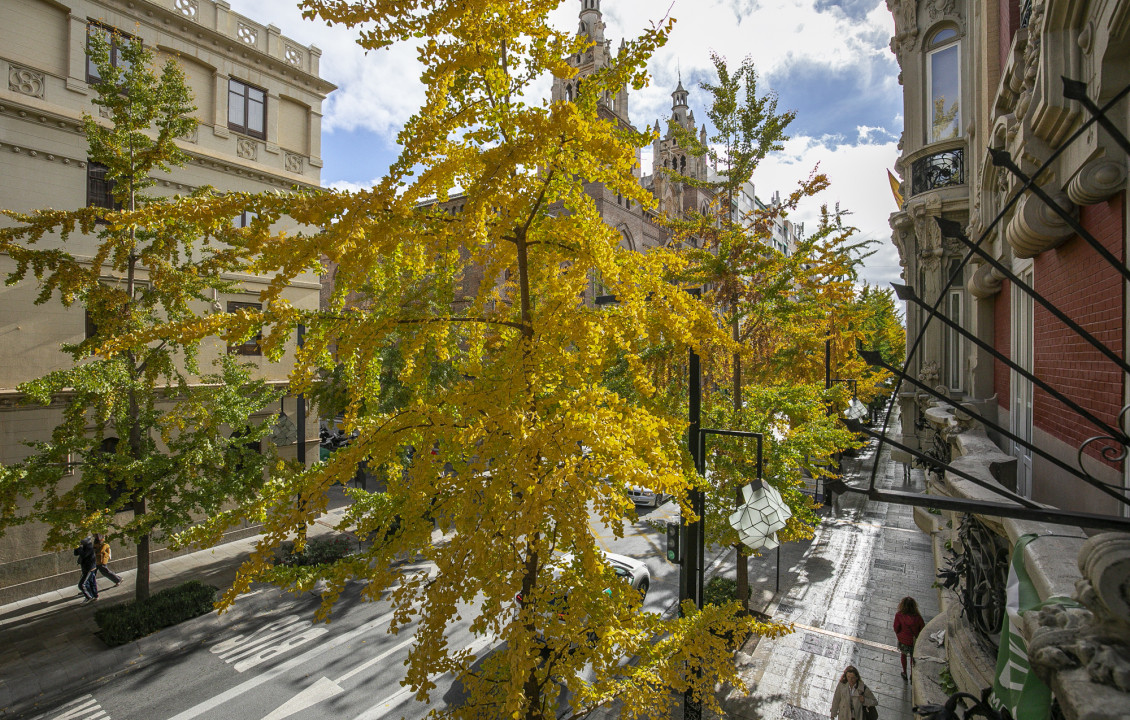 Venta - Pisos - Granada - C. Gran Vía de Colón, 29, 1º