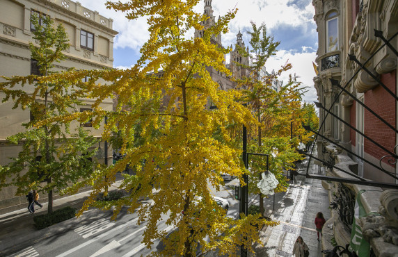 Venta - Pisos - Granada - C. Gran Vía de Colón, 29, 1º