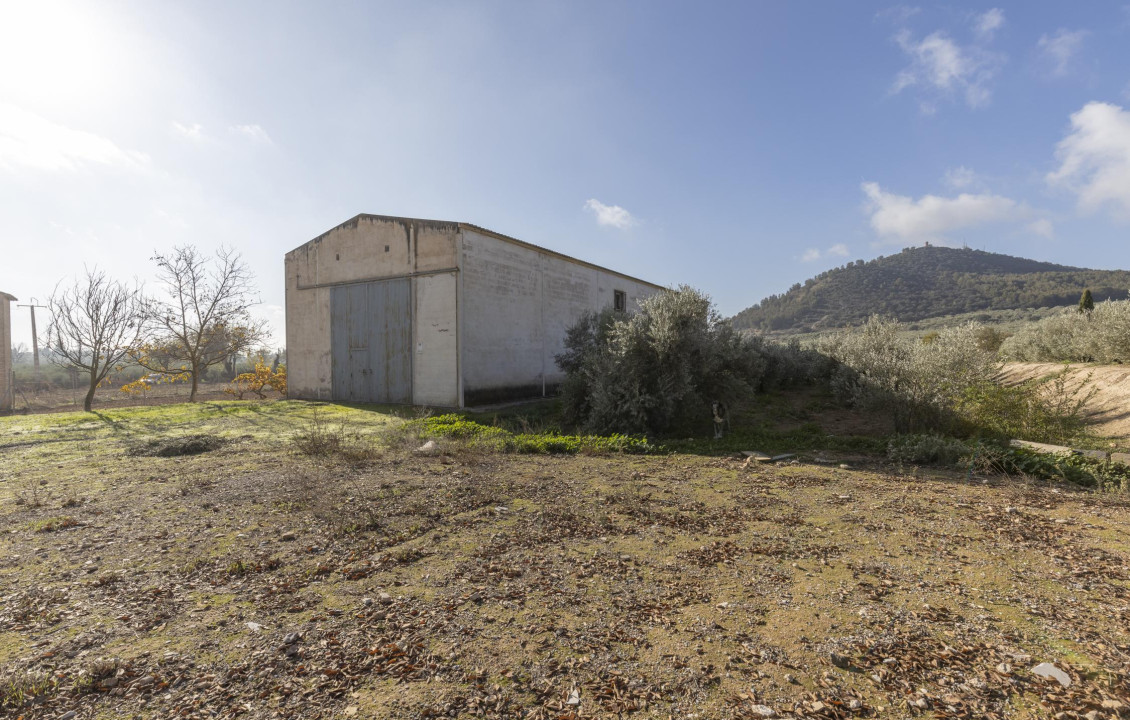 Venta - Naves - Albolote - de Lanjarón