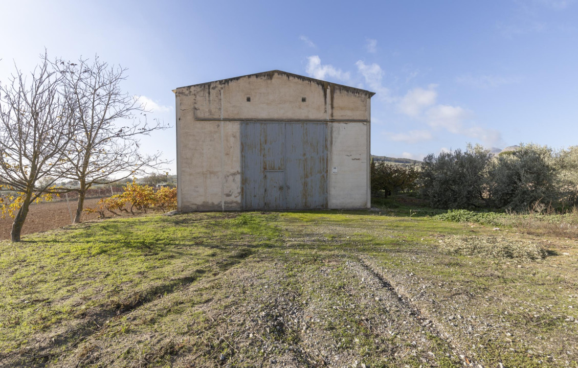 Venta - Naves - Albolote - de Lanjarón