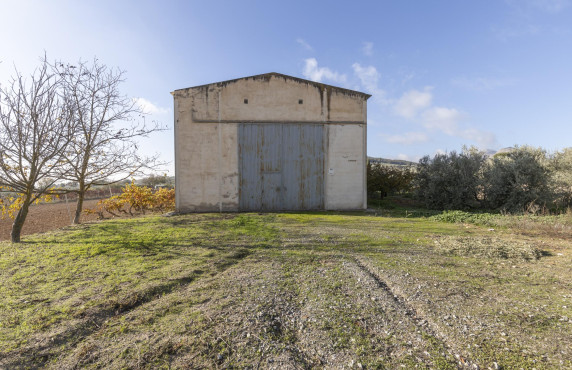 Venta - Naves - Albolote - de Lanjarón