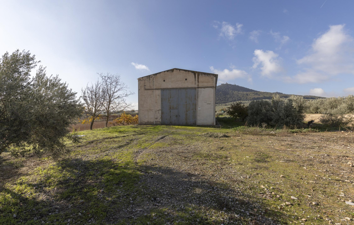 Venta - Naves - Albolote - de Lanjarón