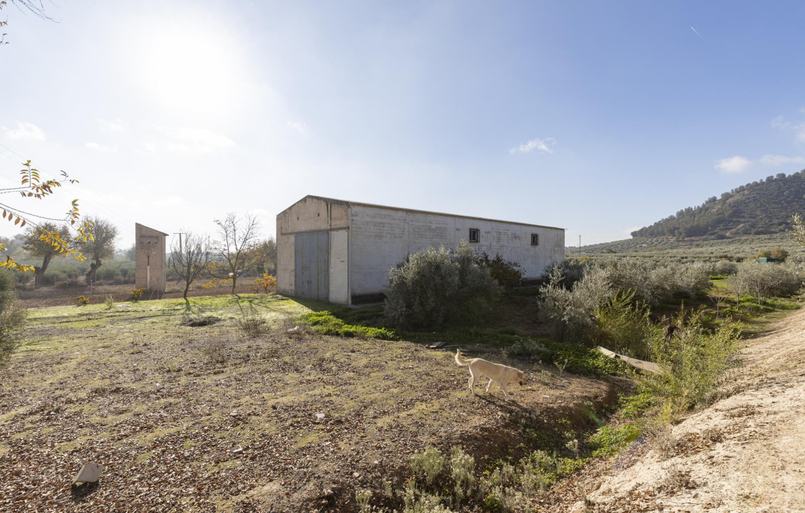 Venta - Naves - Albolote - de Lanjarón