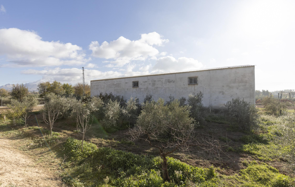 Venta - Naves - Albolote - de Lanjarón