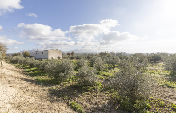 Venta - Naves - Albolote - de Lanjarón