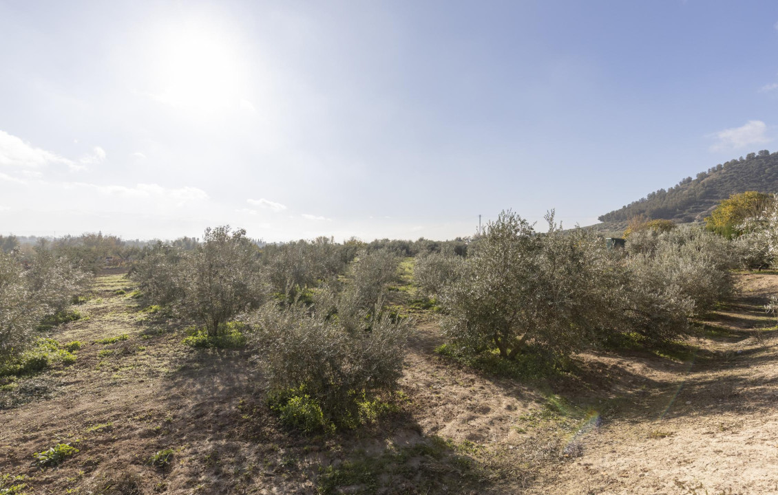 Venta - Naves - Albolote - de Lanjarón