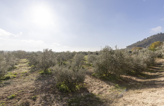 Venta - Naves - Albolote - de Lanjarón