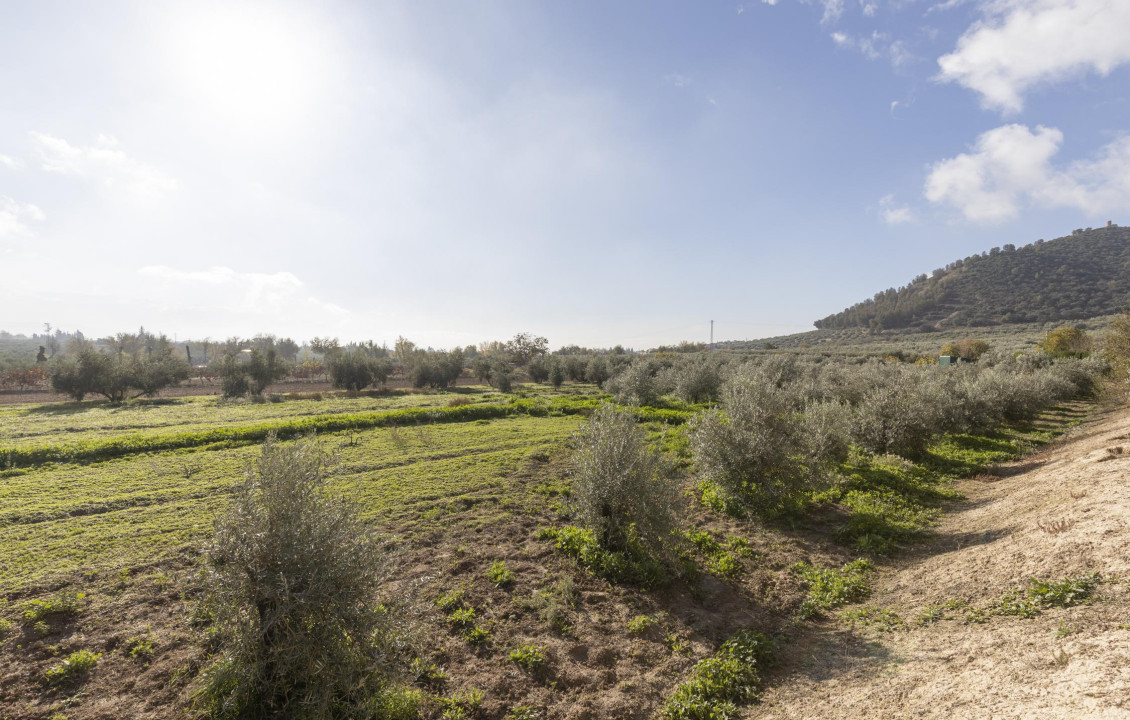 Venta - Naves - Albolote - de Lanjarón