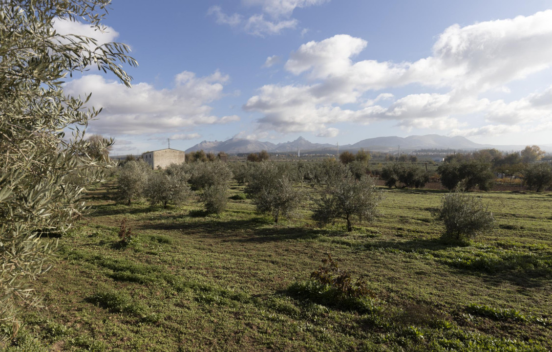 Venta - Naves - Albolote - de Lanjarón