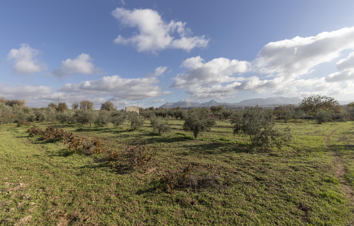 Venta - Naves - Albolote - de Lanjarón