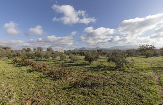 Venta - Naves - Albolote - de Lanjarón