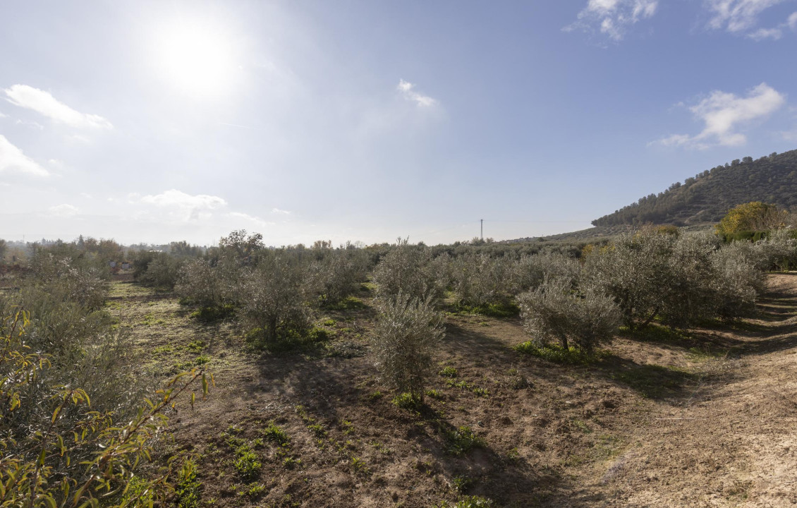 Venta - Naves - Albolote - de Lanjarón