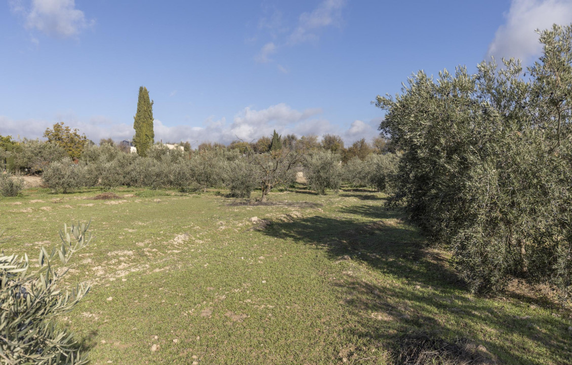 Venta - Naves - Albolote - de Lanjarón