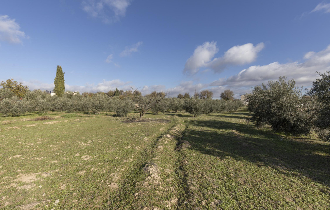 Venta - Naves - Albolote - de Lanjarón