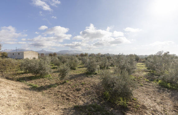 Venta - Naves - Albolote - de Lanjarón