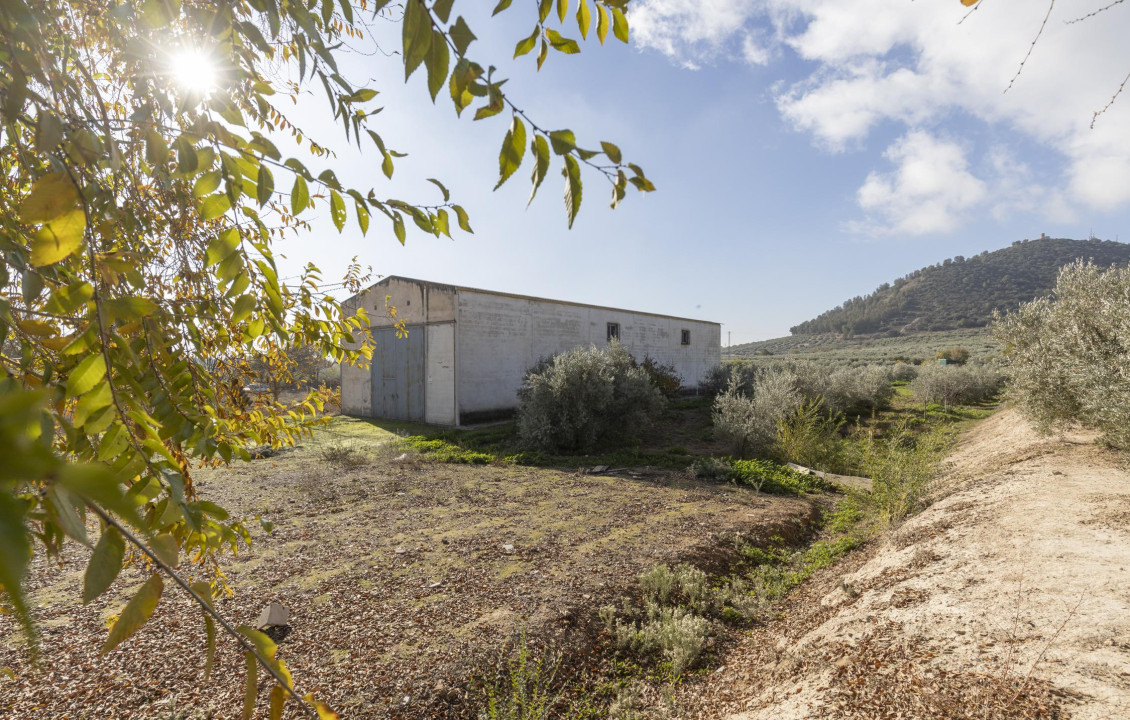 Venta - Naves - Albolote - de Lanjarón