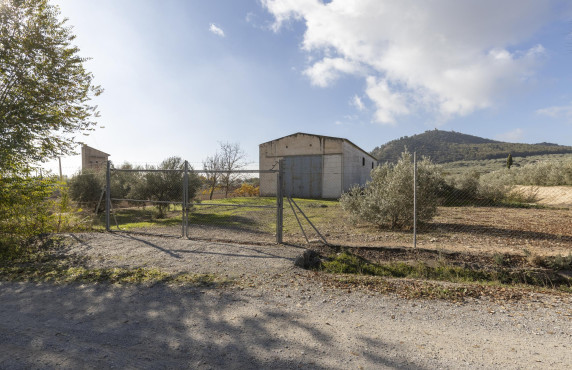 Venta - Naves - Albolote - de Lanjarón