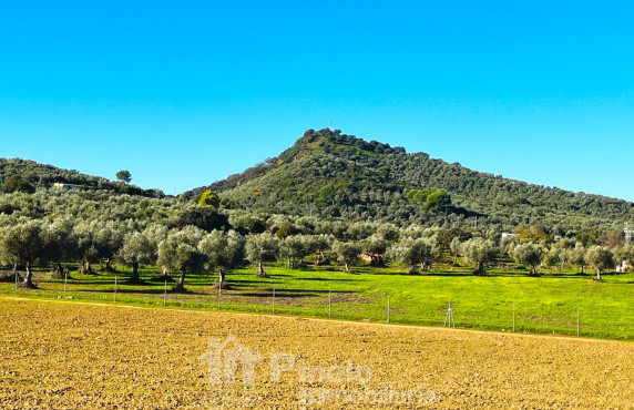 Venta - Casas o chalets - Almadén de la Plata - Urbanización Villas La Bordalla