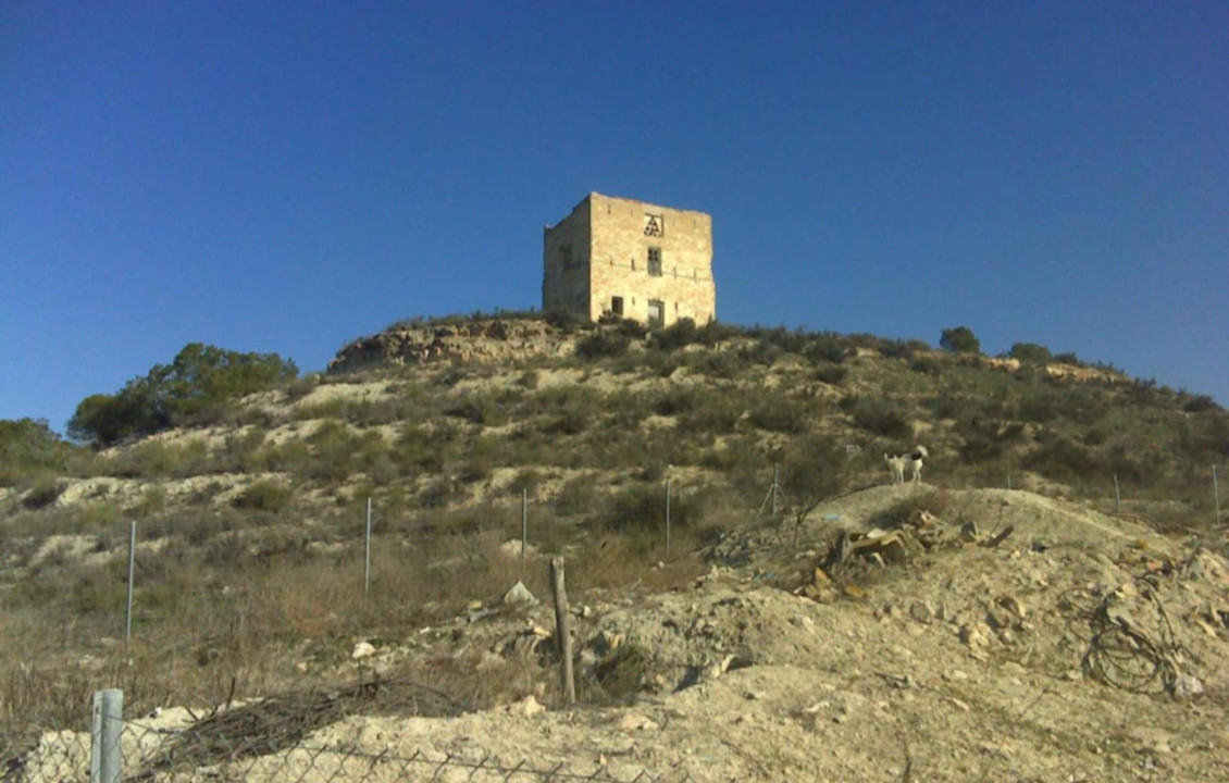 Venta - Fincas y solares - Cieza - Fuente del Peral