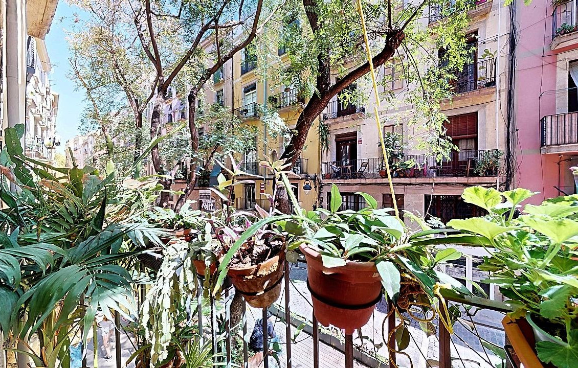 For Sale - Pisos - Barcelona - PORTAL NOU