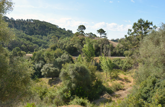 For Sale - Fincas y solares - Benahavís - Urbanización Montemayor Alto