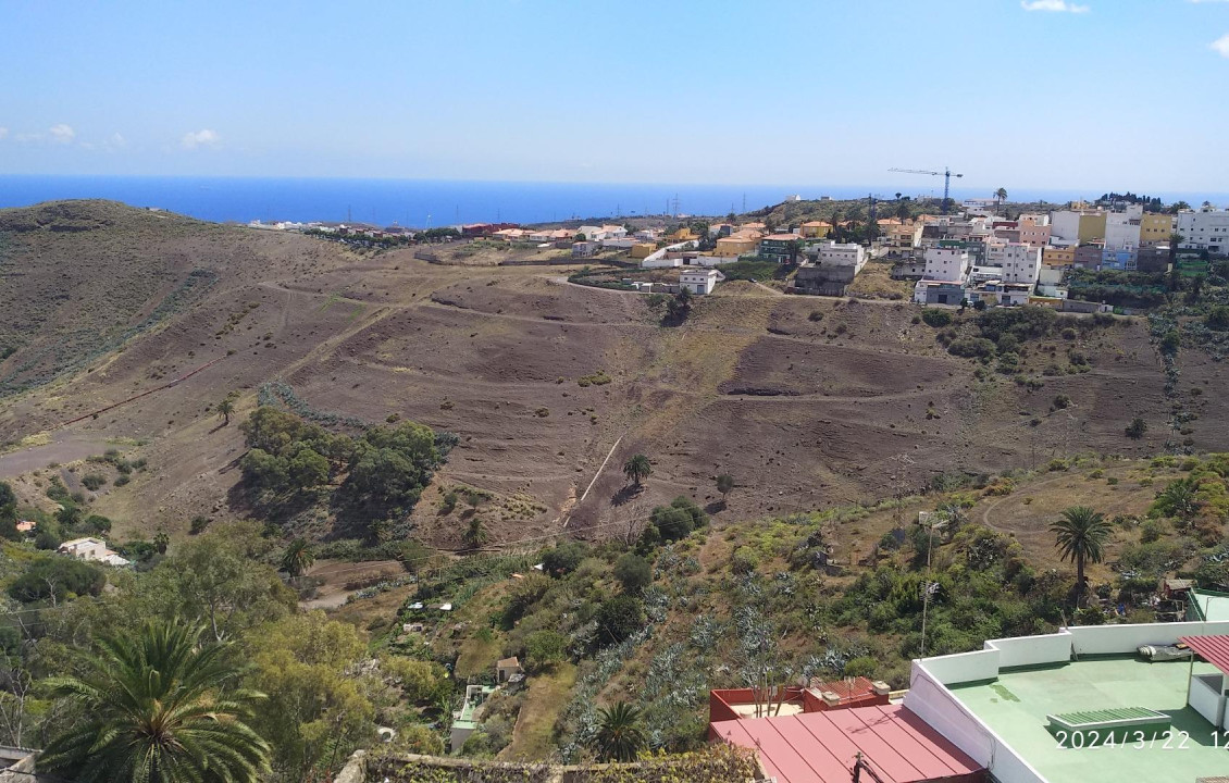 For Sale - Casas o chalets - Las Palmas de Gran Canaria - Calle Maestro Francisco Vicente González