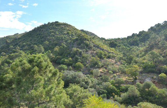 Venta - Fincas y solares - Benahavís - Urbanización Montemayor Alto