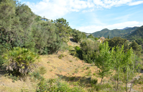 Venta - Fincas y solares - Benahavís - Urbanización Montemayor Alto