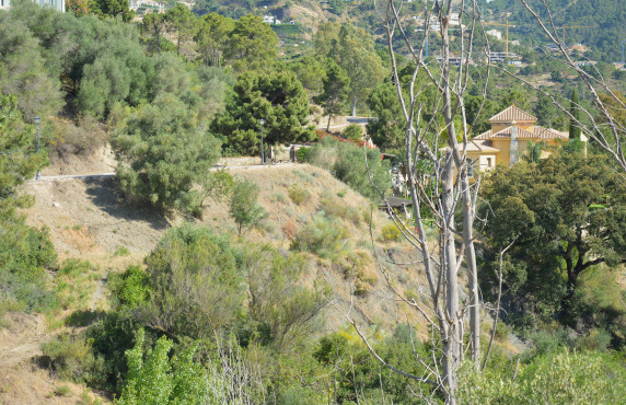 Venta - Fincas y solares - Benahavís - Urbanización Montemayor Alto