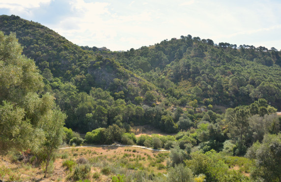 Venta - Fincas y solares - Benahavís - Urbanización Montemayor Alto