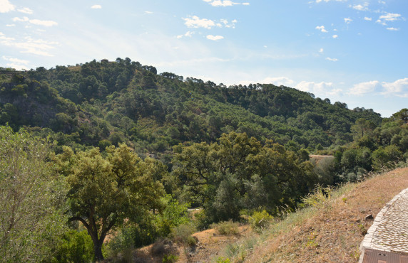 Venta - Fincas y solares - Benahavís - Urbanización Montemayor Alto