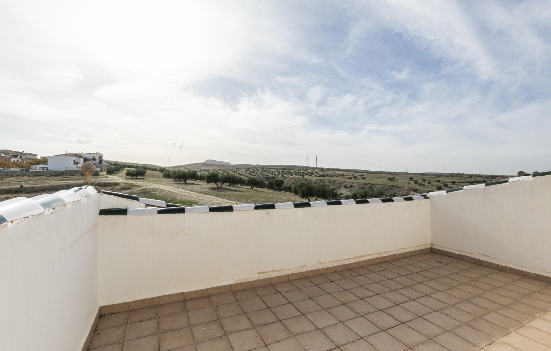 Venta - Casas o chalets - Las Gabias - C. Buenavista, 21