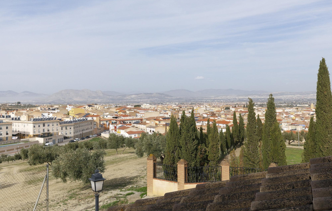 Venta - Casas o chalets - Las Gabias - C. Buenavista, 21