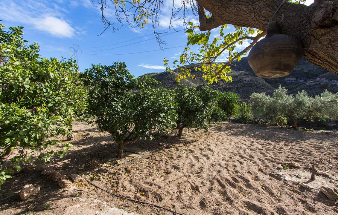 Venta - Fincas y solares - Mazarrón - Cañada de Egea