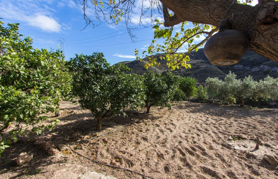 Venta - Fincas y solares - Mazarrón - Cañada de Egea