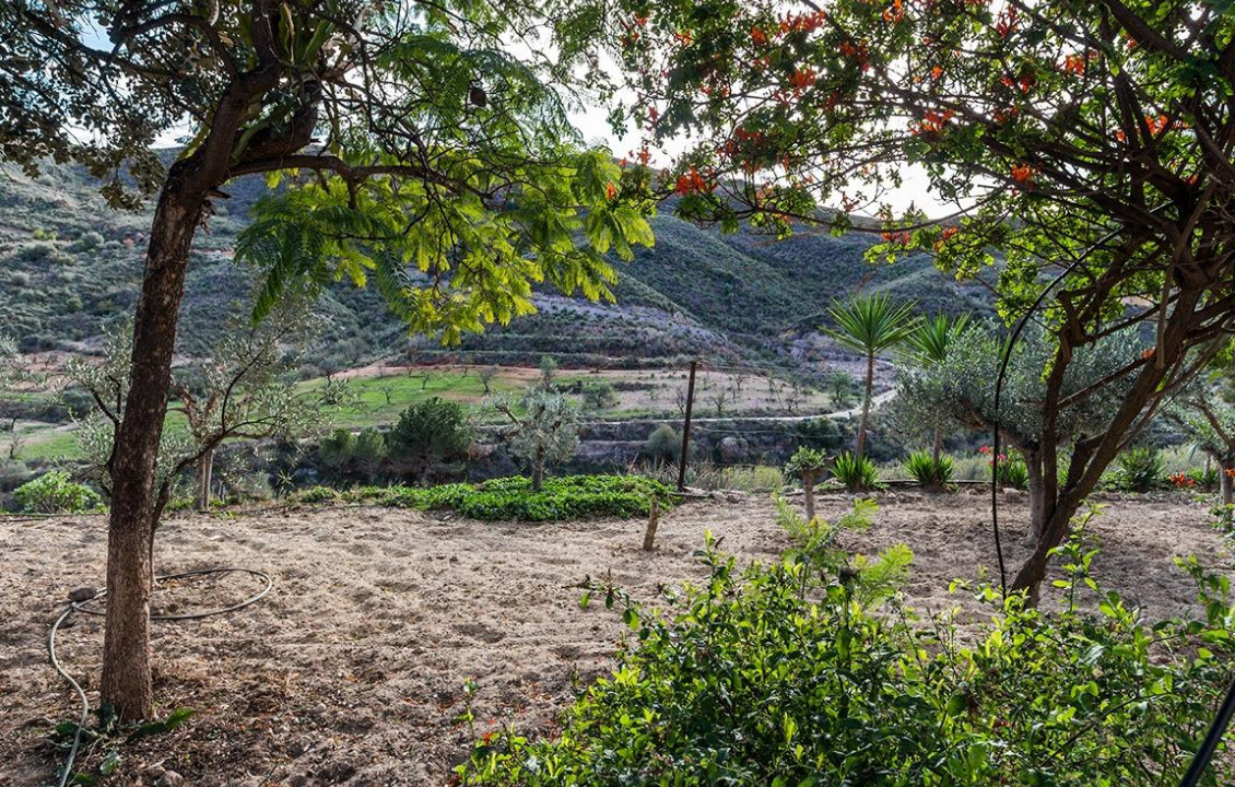 Venta - Fincas y solares - Mazarrón - Cañada de Egea