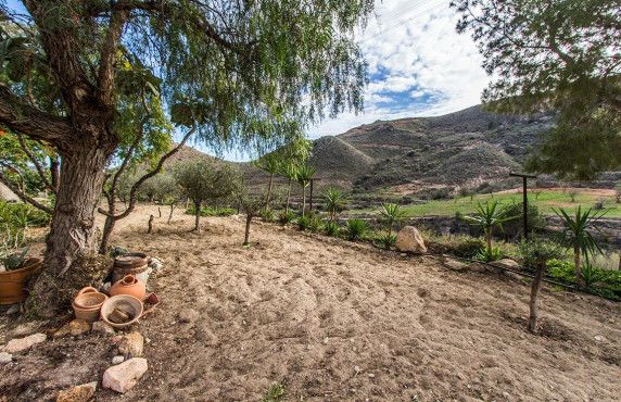 Venta - Fincas y solares - Mazarrón - Cañada de Egea