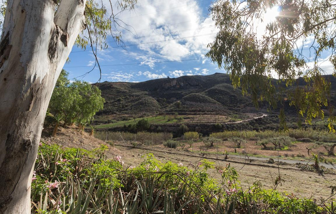 Venta - Fincas y solares - Mazarrón - Cañada de Egea