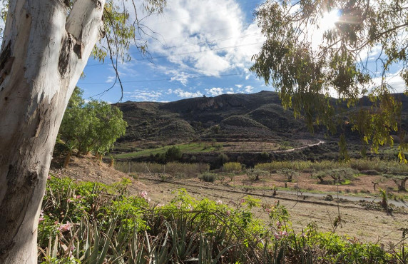 Venta - Fincas y solares - Mazarrón - Cañada de Egea