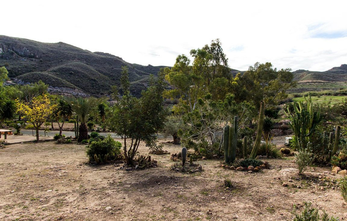 Venta - Fincas y solares - Mazarrón - Cañada de Egea