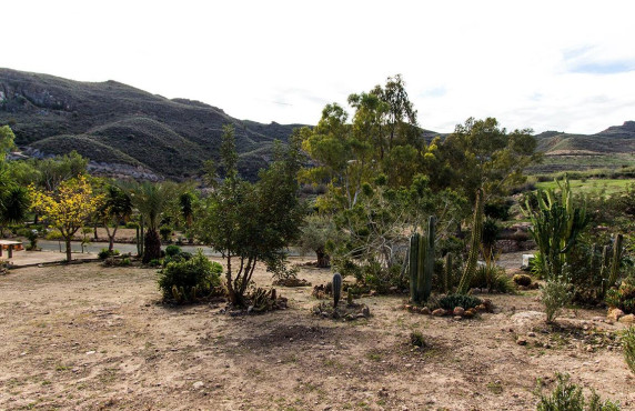 Venta - Fincas y solares - Mazarrón - Cañada de Egea