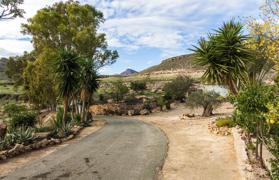 Venta - Fincas y solares - Mazarrón - Cañada de Egea